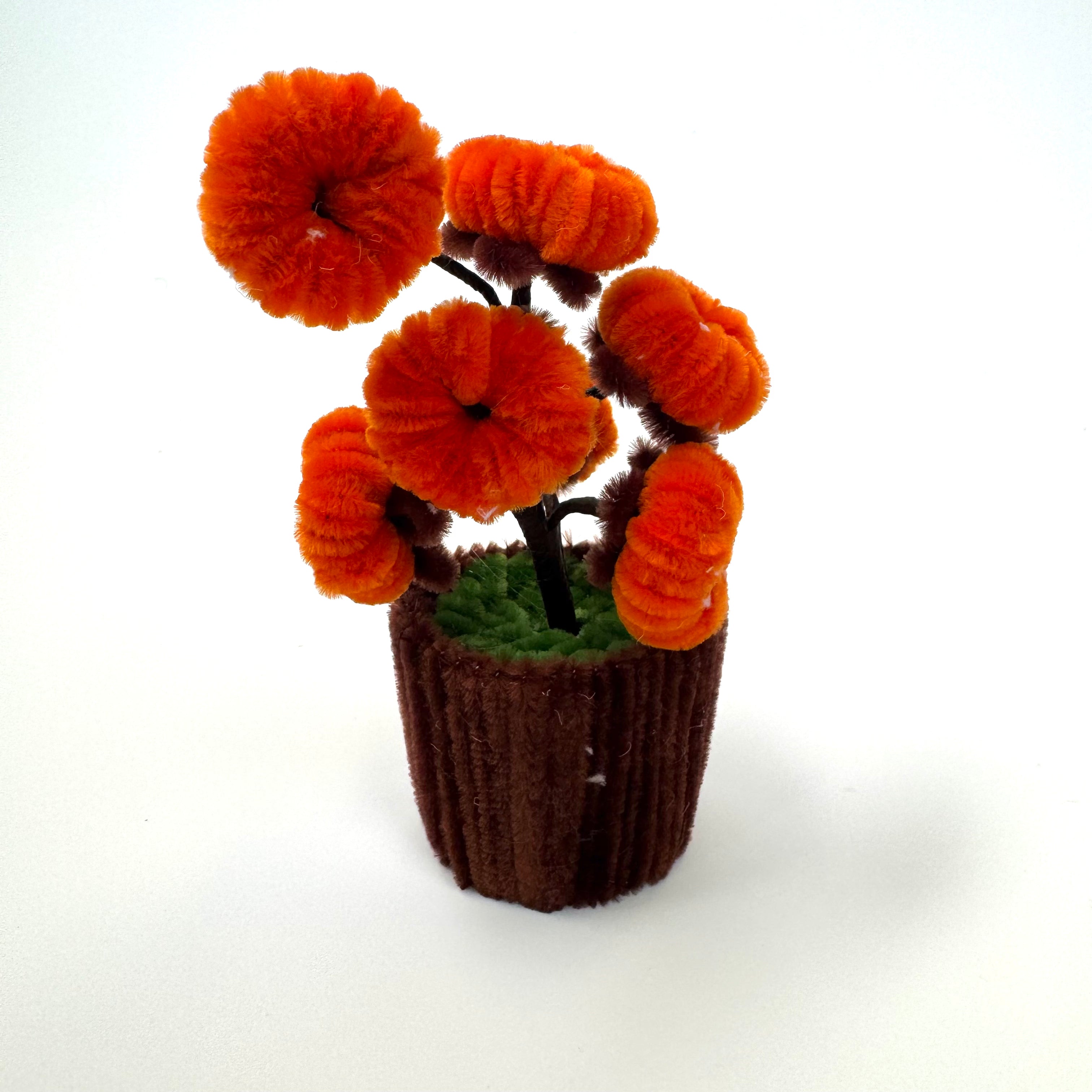 Marigold Mini Pot